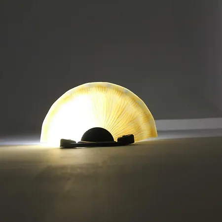 Dimora Della Castellana